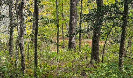 Photo #44 of 9161 Whispering Pines Trl, Windsor, VA 5.4 acres