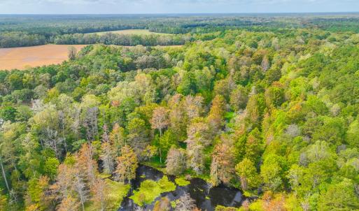 Photo #47 of 9161 Whispering Pines Trl, Windsor, VA 5.4 acres
