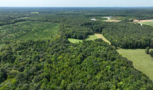 Photo #10 of Off Mann Oakley Road, Rougemont, NC 11.2 acres
