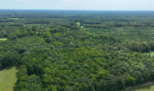 Photo #12 of Off Mann Oakley Road, Rougemont, NC 11.2 acres