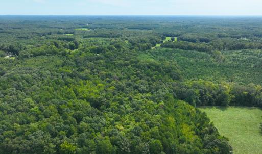 Photo #13 of Off Mann Oakley Road, Rougemont, NC 11.2 acres