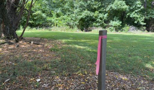 Photo #18 of Off Mann Oakley Road, Rougemont, NC 11.2 acres