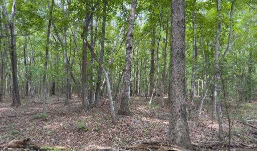 Photo #34 of Off Mann Oakley Road, Rougemont, NC 11.2 acres