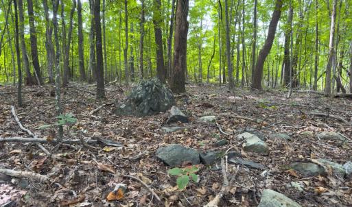 Photo #36 of Off Mann Oakley Road, Rougemont, NC 11.2 acres