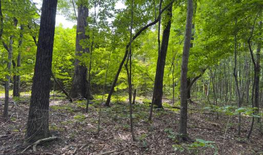 Photo #39 of Off Mann Oakley Road, Rougemont, NC 11.2 acres