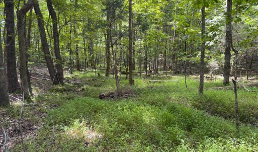 Photo #42 of Off Mann Oakley Road, Rougemont, NC 11.2 acres