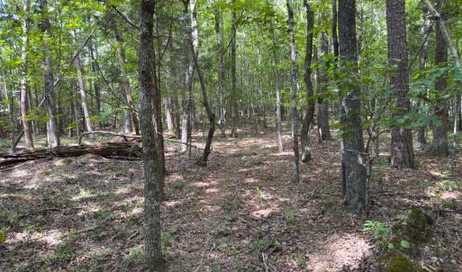 Photo #45 of Off Mann Oakley Road, Rougemont, NC 11.2 acres