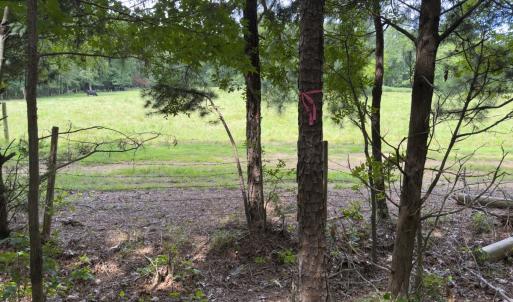 Photo #49 of Off Mann Oakley Road, Rougemont, NC 11.2 acres
