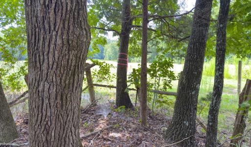 Photo #52 of Off Mann Oakley Road, Rougemont, NC 11.2 acres