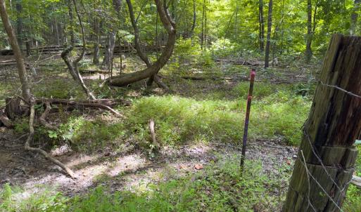 Photo #53 of Off Mann Oakley Road, Rougemont, NC 11.2 acres