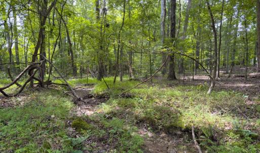 Photo #55 of Off Mann Oakley Road, Rougemont, NC 11.2 acres
