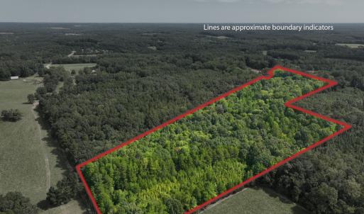 Photo #56 of Off Mann Oakley Road, Rougemont, NC 11.2 acres