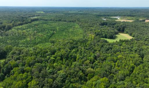 Photo #9 of Off Mann Oakley Road, Rougemont, NC 11.2 acres