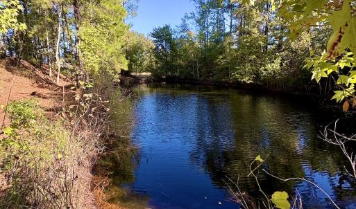 Photo #1 of Off Dew RD, Temperance Hill, SC 17.3 acres