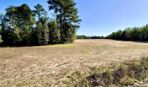 Photo #2 of Off Dew RD, Temperance Hill, SC 17.3 acres