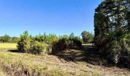 Photo #3 of Off Dew RD, Temperance Hill, SC 17.3 acres