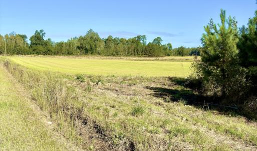 Photo #4 of Off Dew RD, Temperance Hill, SC 17.3 acres