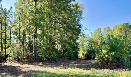 Photo #7 of Off Dew RD, Temperance Hill, SC 17.3 acres
