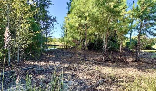 Photo #8 of Off Dew RD, Temperance Hill, SC 17.3 acres