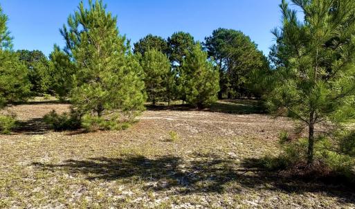 Photo #13 of Off Dew RD, Temperance Hill, SC 17.3 acres