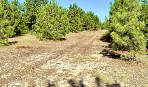 Photo #15 of Off Dew RD, Temperance Hill, SC 17.3 acres