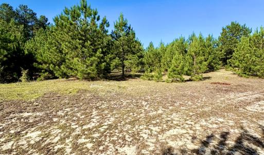 Photo #16 of Off Dew RD, Temperance Hill, SC 17.3 acres