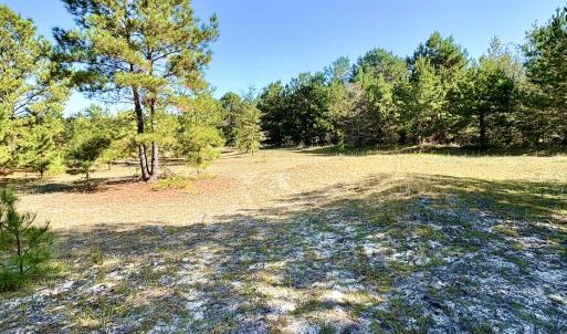 Photo #17 of Off Dew RD, Temperance Hill, SC 17.3 acres