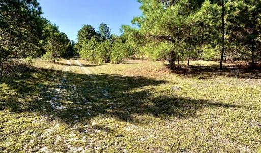 Photo #18 of Off Dew RD, Temperance Hill, SC 17.3 acres