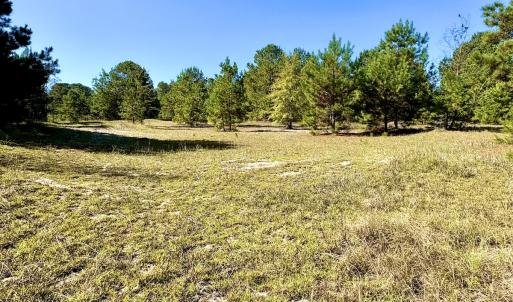 Photo #19 of Off Dew RD, Temperance Hill, SC 17.3 acres