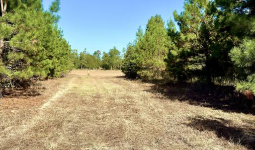 Photo #20 of Off Dew RD, Temperance Hill, SC 17.3 acres
