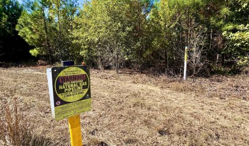 Photo #21 of Off Dew RD, Temperance Hill, SC 17.3 acres