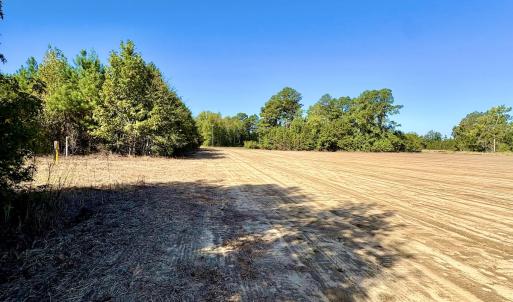 Photo #22 of Off Dew RD, Temperance Hill, SC 17.3 acres