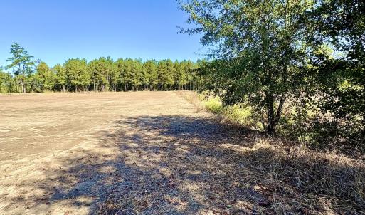 Photo #23 of Off Dew RD, Temperance Hill, SC 17.3 acres