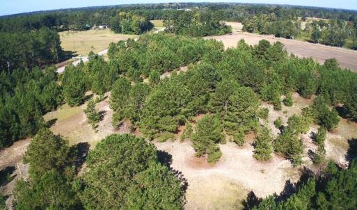 Photo #24 of Off Dew RD, Temperance Hill, SC 17.3 acres