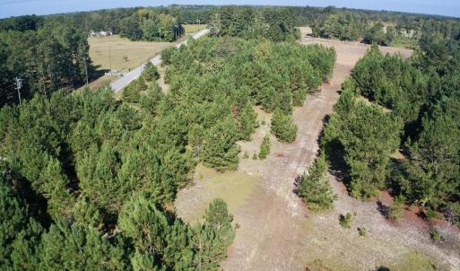 Photo #25 of Off Dew RD, Temperance Hill, SC 17.3 acres