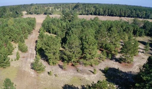 Photo #26 of Off Dew RD, Temperance Hill, SC 17.3 acres