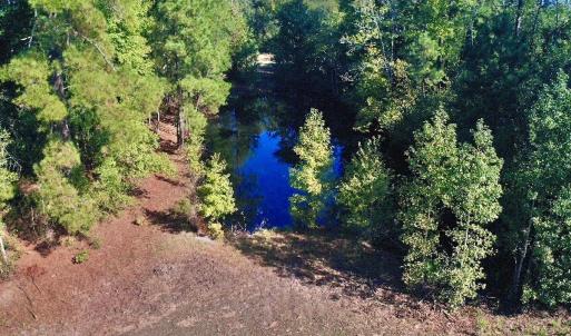 Photo #27 of Off Dew RD, Temperance Hill, SC 17.3 acres