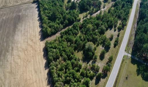Photo #28 of Off Dew RD, Temperance Hill, SC 17.3 acres