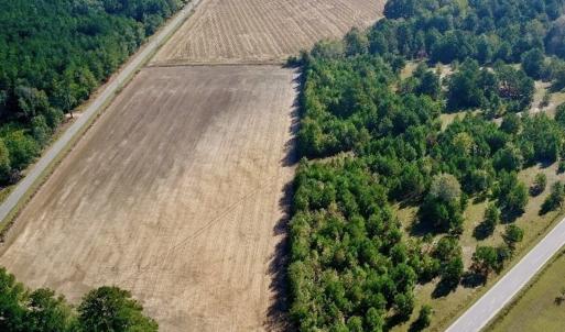 Photo #30 of Off Dew RD, Temperance Hill, SC 17.3 acres