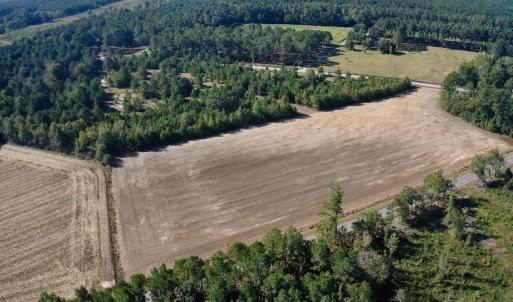 Photo #34 of Off Dew RD, Temperance Hill, SC 17.3 acres