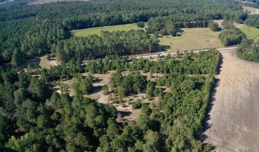 Photo #35 of Off Dew RD, Temperance Hill, SC 17.3 acres