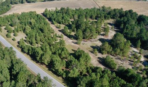 Photo #38 of Off Dew RD, Temperance Hill, SC 17.3 acres