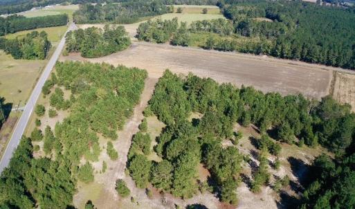 Photo #39 of Off Dew RD, Temperance Hill, SC 17.3 acres