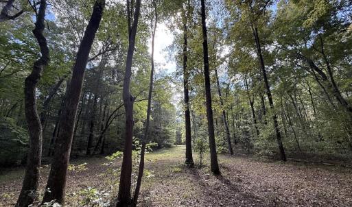 Photo #17 of 1945 Bolton Road, Rich Square, NC 90.3 acres