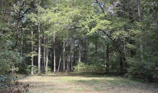 Photo #18 of 1945 Bolton Road, Rich Square, NC 90.3 acres