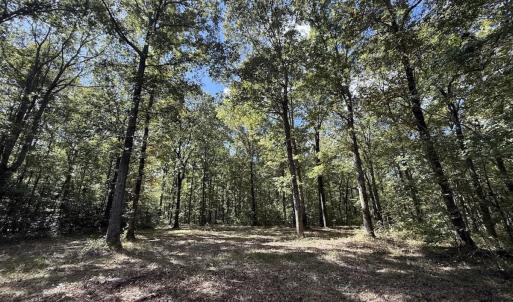 Photo #1 of 1945 Bolton Road, Rich Square, NC 90.3 acres