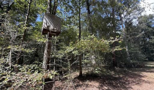 Photo #19 of 1945 Bolton Road, Rich Square, NC 90.3 acres