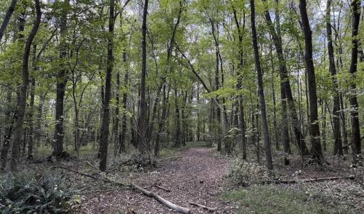 Photo #20 of 1945 Bolton Road, Rich Square, NC 90.3 acres