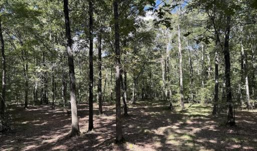 Photo #4 of 1945 Bolton Road, Rich Square, NC 90.3 acres