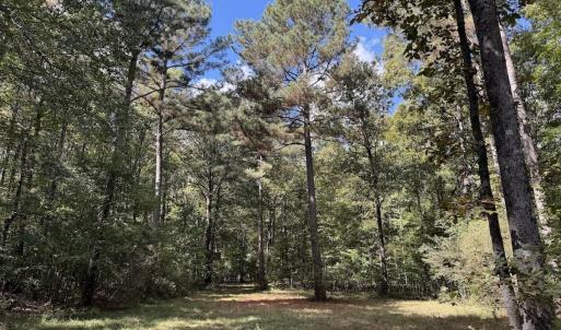 Photo #7 of 1945 Bolton Road, Rich Square, NC 90.3 acres